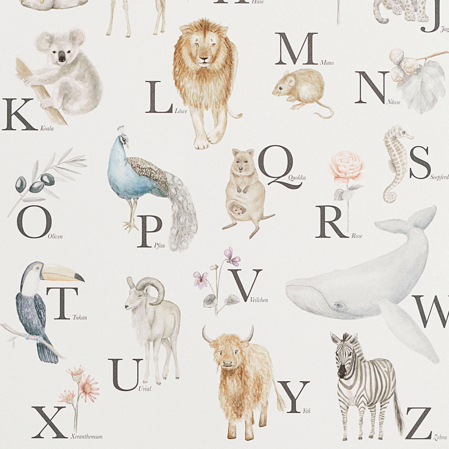 Poster 42x59cm kaufen Cam & online creme \'Alphabet Tiere\' Cam