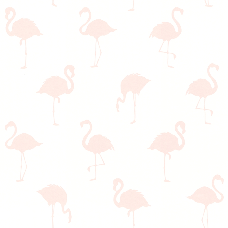 Vliestapete &#039;Flamingos&#039; weiß/rosa