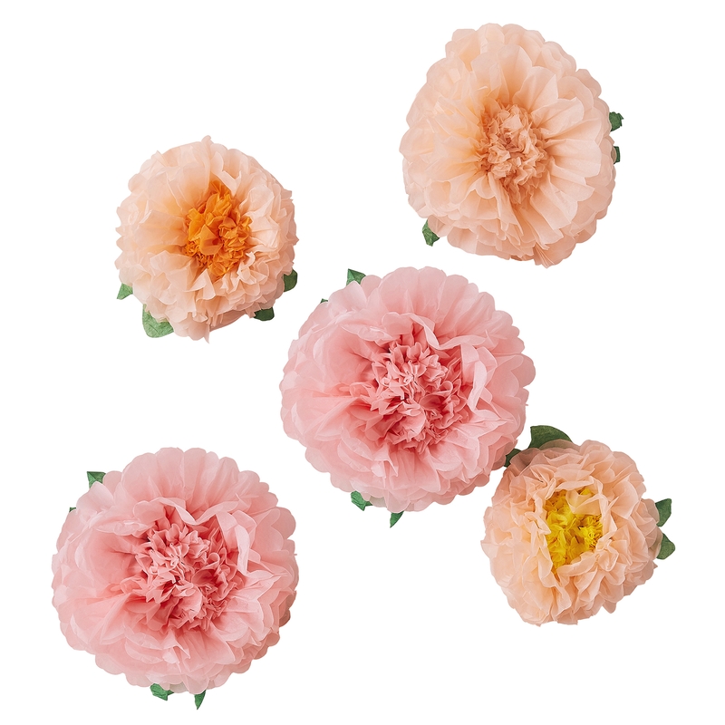Pompon-Blumen &#039;Let´s Partea&#039; rosa 5 Stk.