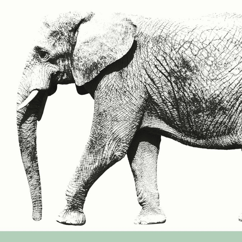 Bordüre &#039;Elefanten&#039; grau/mint