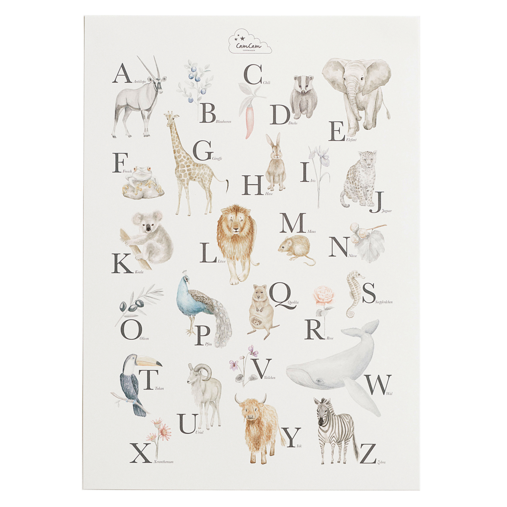 Cam Cam Poster 'Alphabet & Tiere' creme 42x59cm online kaufen